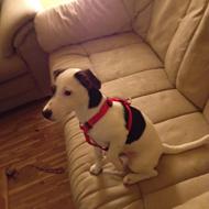 Christian Wetendorff J