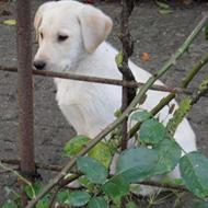 Cecilie Lindegaard J