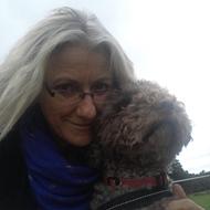 birgitte v