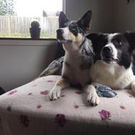 Ticka & Ellie