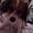 Mette  n