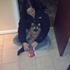 Trine B