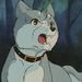 Akita inu