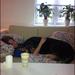 Kan hunde blive stresset?