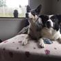 Ticka & Ellie
