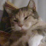 Birgitte R
