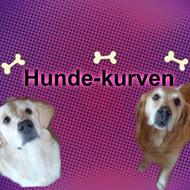 Hundekurven