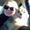 cecilie J