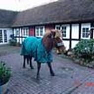  »•'Siri'Biri'•« «