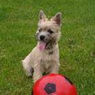 Ann-Kristin og Rikke S