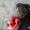 christoffer h