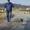 torben  N