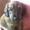Sanne H
