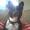 Millie H