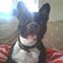 Millie H