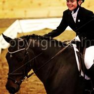 Gravhundene & Osvald!<3