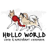 Hello World Chihuahuas