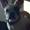 Dorthe R