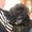 Dorthe S