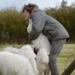 GPS til hunden