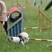 Agility - spring igennem ring