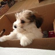 Bettina&honneybee<3.