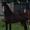 Pernille S