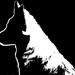 Bullterrier eller SBT med anden hund? 