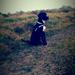 Hundefoder
