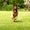 Sidse B
