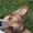 Hannah R