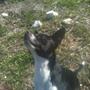 Pusle's Madmor