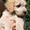 **-Silje&Bailey-**