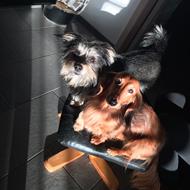 Berta & Loulu