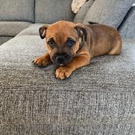 Heidi P