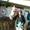 Cecilie S