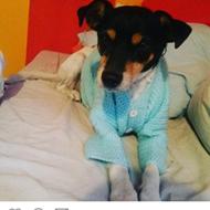 Jasmin og bamse