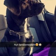 Cecilie S