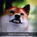 1 4 hund?