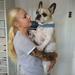 Hvilken hund skal jeg vælge? 