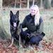 Import af belgisk hund