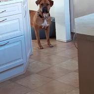 Molly