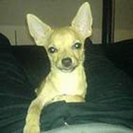 Pernille & Kristian G