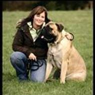 *Brak's Bullmastiff *