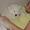 Jesper og Trine B
