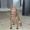 jesper l