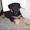 Birte T