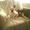 Kirstine  W