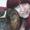 Merete D