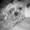 Cathrine My Hedager  F